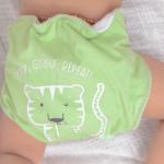 Sakshi Style Ultra Nappies 1.0